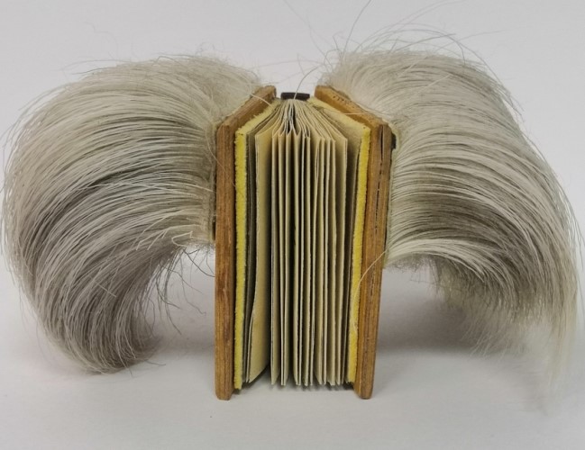 bookCover